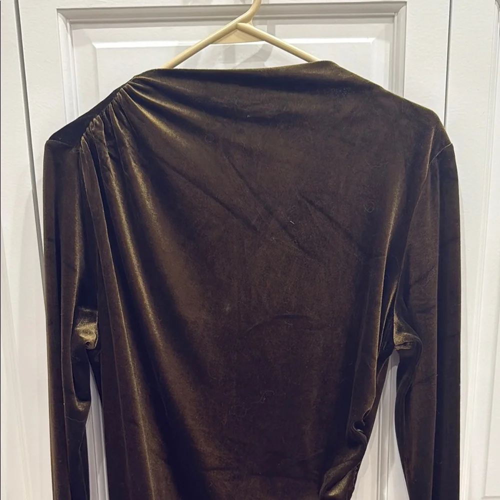 Elegant Velvet Dress - Picture 4 of 5